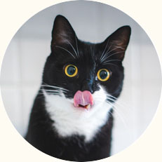 めろ
