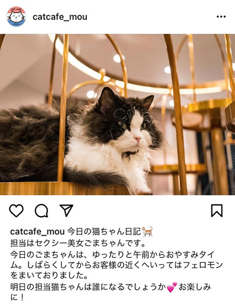 insta画面