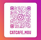 insta-qrcord